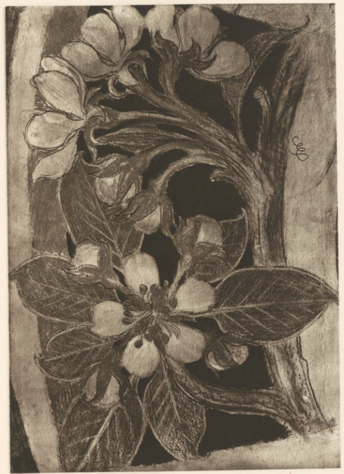 Kwiaty Jabłoni, Motyw Dekoracyjny Pastel, (r. 1902—1903). Własność Marji Jasieńskiej we Lwowie.