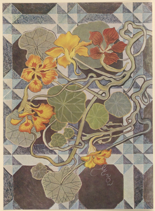 Nasturcje, Projekt do Polichromji. Pastel, (r. 1903). Własność prof. dr. Juljana Nowaka w Krakowie.
