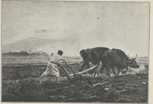 JÓZEF CHEŁMOŃSKI, ORKA