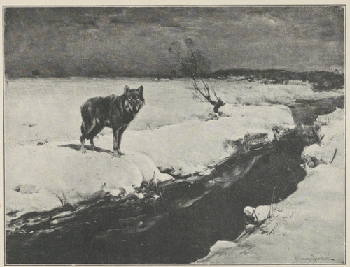 WIERUSZ-KOWALSKI, RABUŚ