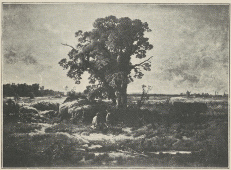 JÓZEF SZERMENTOWSKI, KRAJOBRAZ