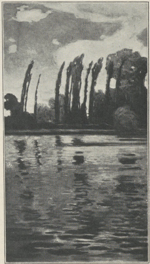 JAN STANISŁAWSKI, TOPOLE