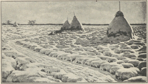 HENRYK WEYSSENHOFF, ŚNIEG