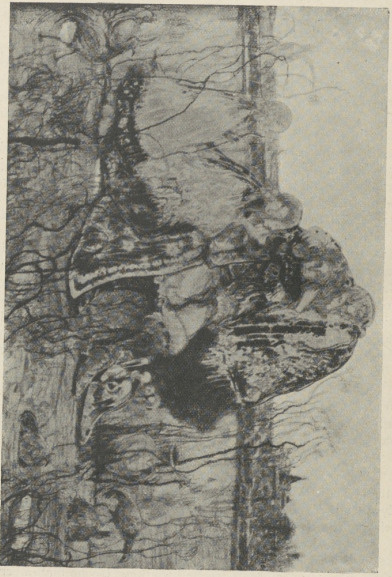 WITOLD WOJTKIEWICZ, BAJKA O RYCERZU