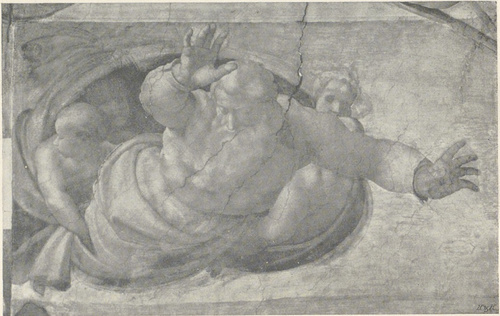 Stworzenie wód. (Fot. Anderson.)