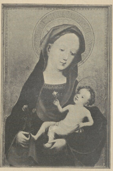 Madonna z kwiatkiem . Szkoła kolońska XV w.