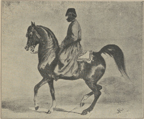 Juljusz Kossak (1824 — 1896). Ogier arabski.