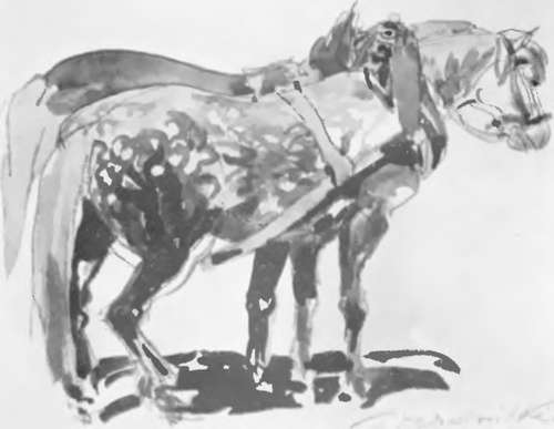 WILHELM WYRWIŃSKI, STUDIUM KONI (akw.).