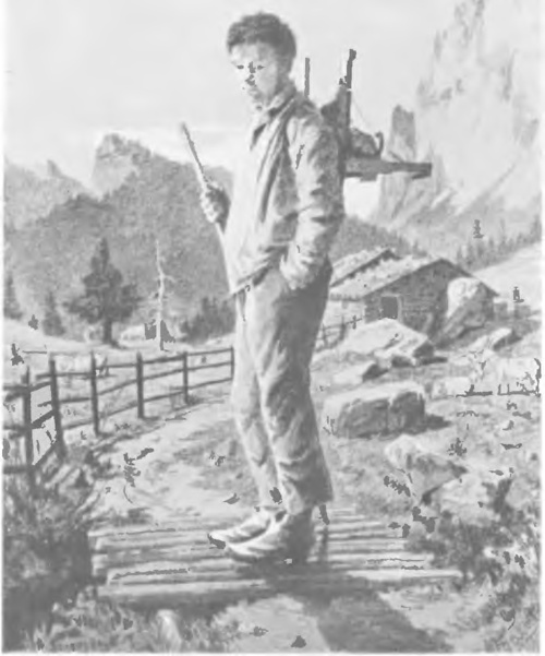 JULIAN FAŁAT, Z TYROLU (litogr.).