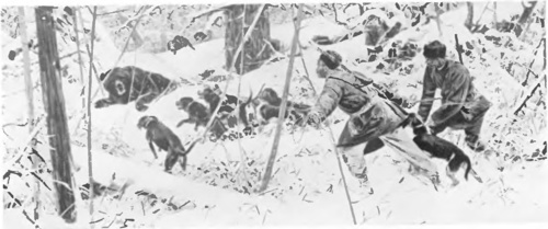 JULJAN FAŁAT, NA NIEDŹWIEDZIA (gwasz, 1886).