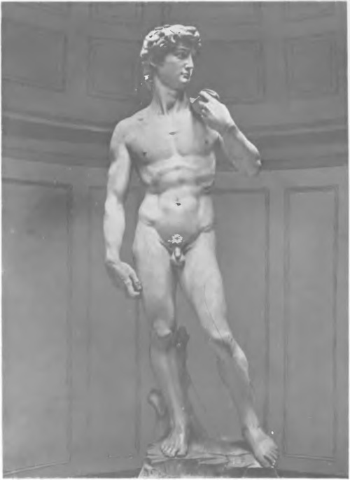 MICHAŁ ANIOŁ, (Muzeum Fargello we Florencji) DAWID (1530).