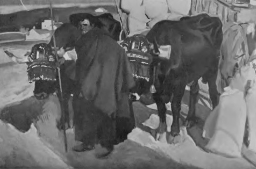 Joaquin Sorolla, “Motyw z Hiszpanii”.