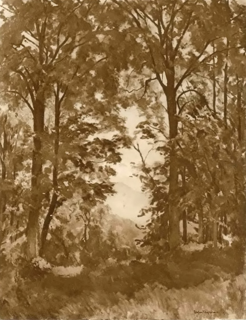 Dębowy las (ol. 1925).