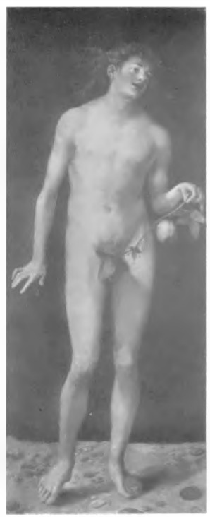 Adam (ol. 1507 r.)