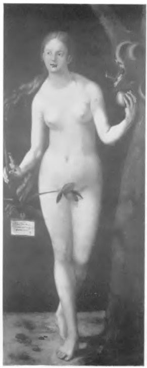 Ewa (ol. 1507 r.)