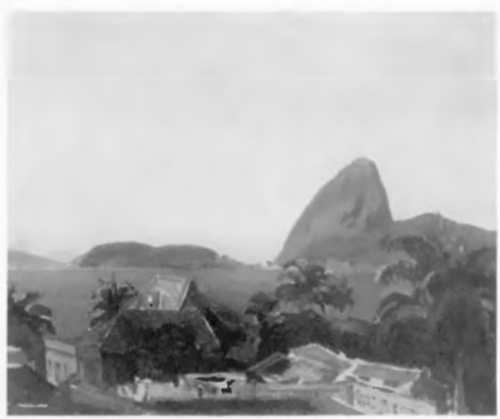 Pejzaż z Rio Janeiro (ol.)