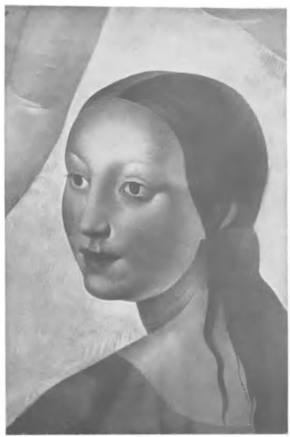 Studjum głowy kobiety (ol.)