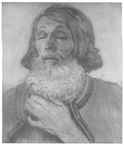 Stary góral (suchoryt)