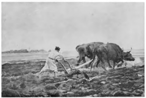 ORKA (ol.). Dział Sztuki na P. W. K. w Poznaniu. Tow. art. polskich “Sztuka”