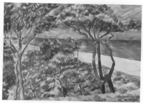 BÓR NA HELU (ol., 1923)