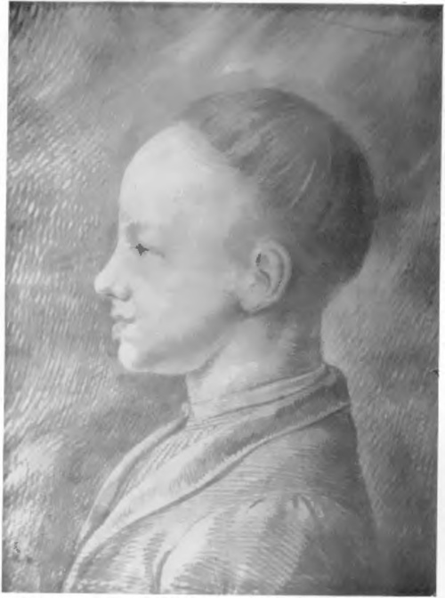 DANIEL CHODOWIECKi STUDJUM PORTRETOWE (rys, czerwona kredka, 35x49 cm.) (Zbiory graficzne Tow. Przyj. Nauk w Poznaniu).
