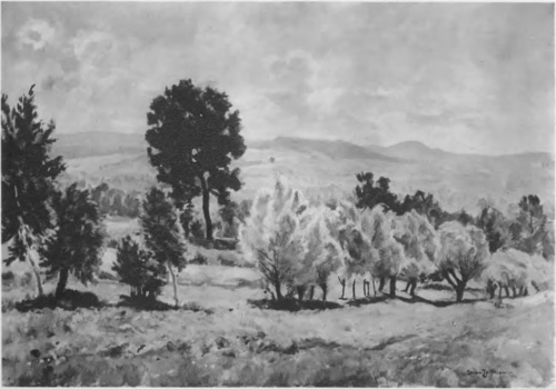 STEFAN  FILIPKIEWICZ, (Wystawa twa art. poL. „Sztuka“, Kraków) MOTYW Z RADZISZOWA (ol.).