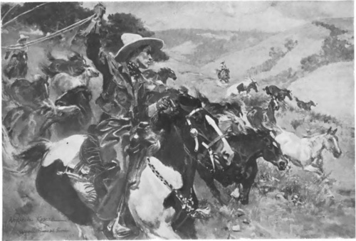 WOJCIECH KOSSAK (Z wystawy w Tow. przyj. Sztuk pięknych, Kraków) W KALIFORNII (ol.).