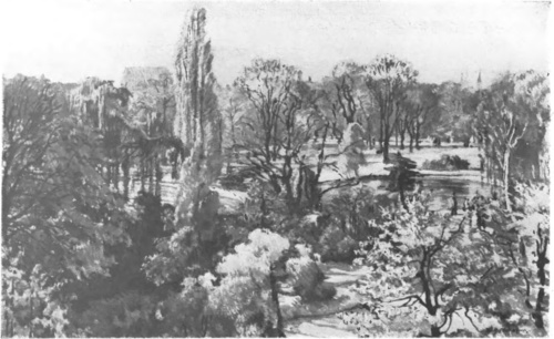 JÓZEF MEHOFFER (Salon listopadowy, Warszawa 1931) PLANTY KRAKOWSKIE (ol.).