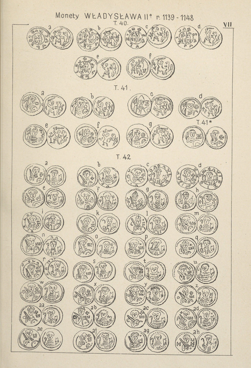 Tablica VII.