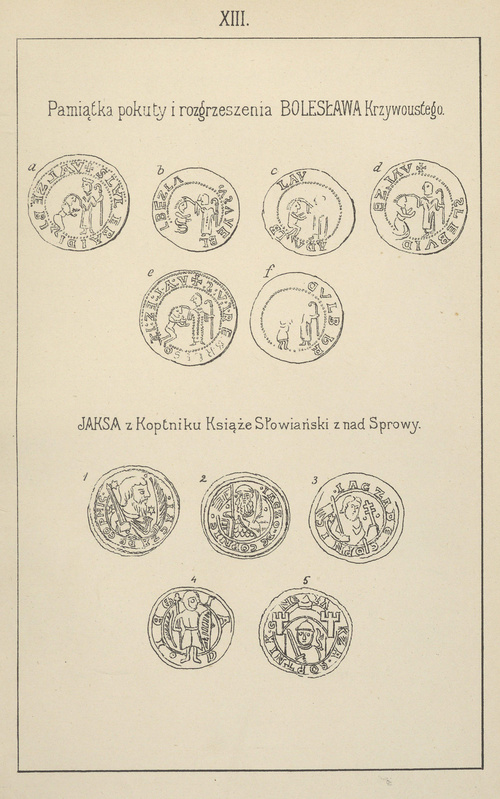 Tablica XIII.