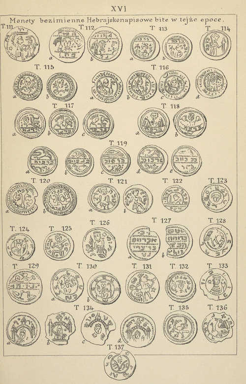 Tablica XVI.