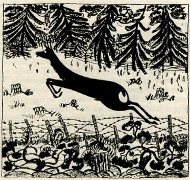 Rysował: W. Wyrwiński.
