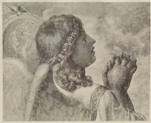 Tablica XIV. Staloryt.