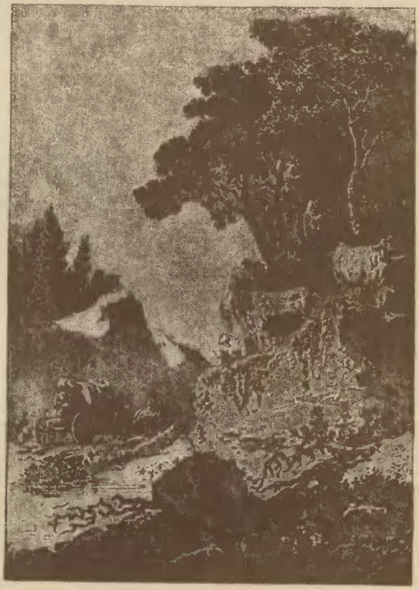 Tablica XIX. Akwatinta.