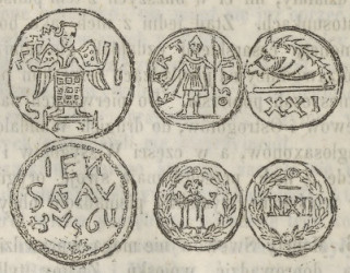 <em>Przykłady typów Wandalskich</em>.