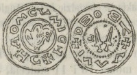 <em>Typ </em>1.