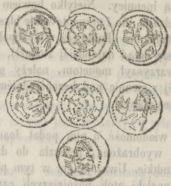 <em>Typ </em>29.