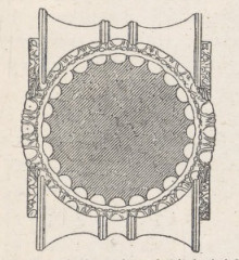 Fig.123. Przecięcie poziome kapitelu jońskiego