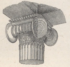 Fig.125. Attycko joński kapitel narożny (Erechtejon)