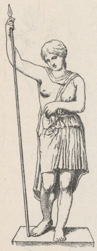 Fig. 212. Raniona amazonka. Kapitel.