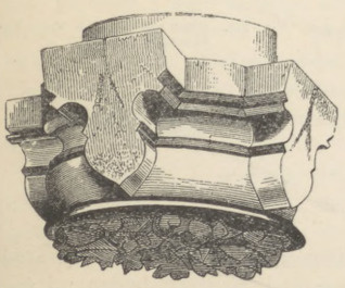 Fig. 206. Konstrukcya klucza gotyckiego.