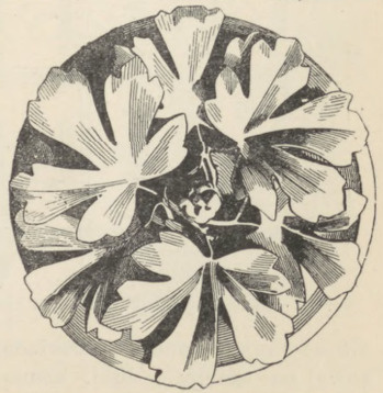 Fig. 207. Klucz gotycki widziany z dołu (St. Chapelle).