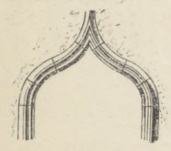 Fig. 236. Przegnika.