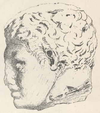 Fig. 220. Z tegejskich rzeźb szczytowych Skopasa.