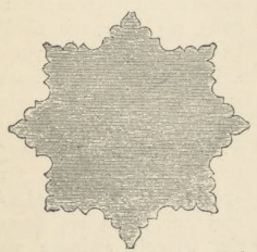 Fig. 269. Plan poziomy filara w koś. Św. Jakóba w Rostoku.