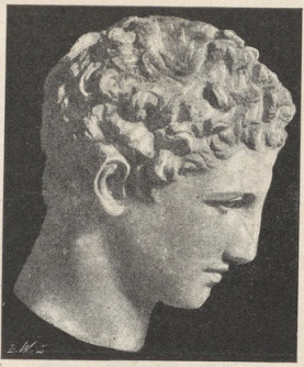 Fig. 226. Głowa Hermesa Praksytelesa