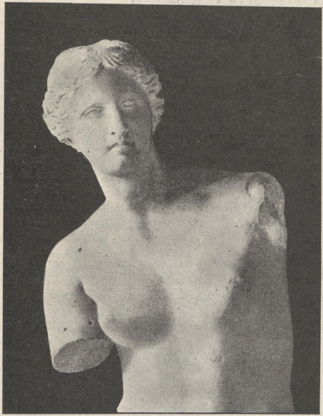 Fig. 257. Wenus z Milos. Fragment. Luwr.