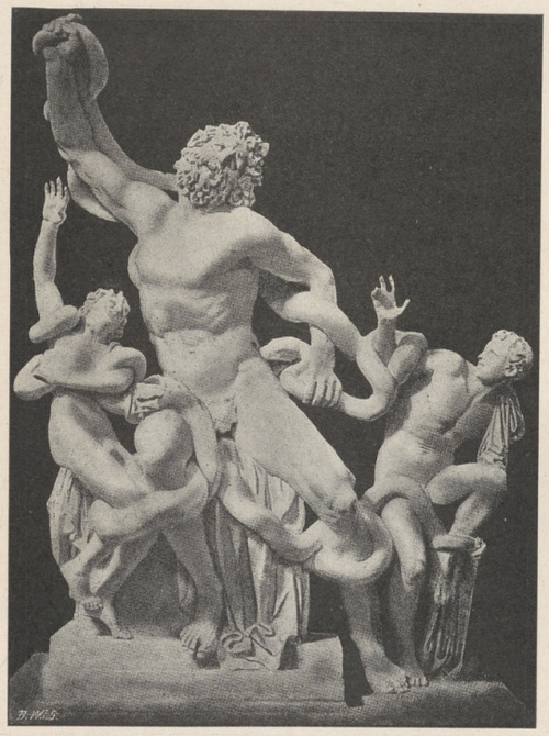 Fig. 262. Grupa Laokoona. Watykan.