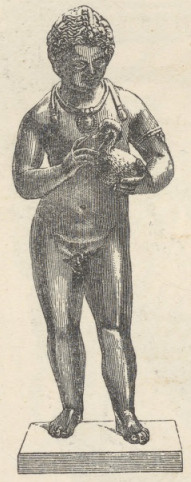 Fig. 318. Chłopiec z gęsią.
