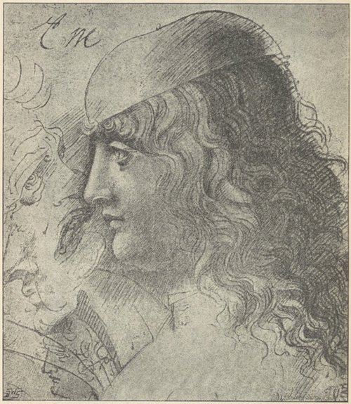 Fig. 231. Karykatury Leonarda. Luwr.